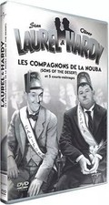 Laurel et Hardy : Les