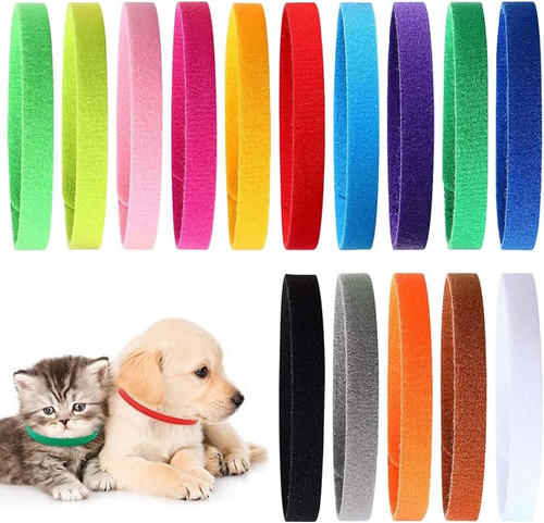 Pièces collier chiot - 15,