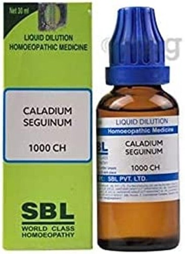 Sbl caladium seguinum - caladium,