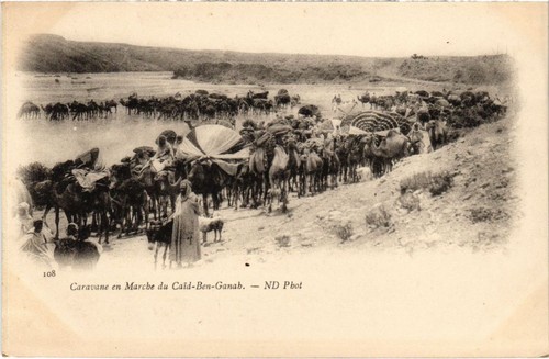 Cpa algeria caravane - cpa,