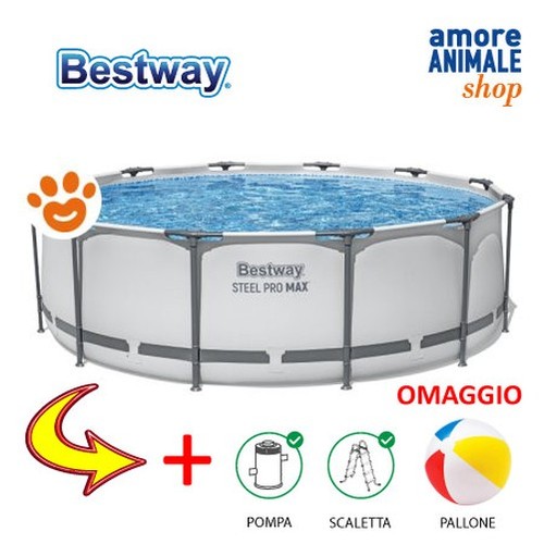 Bestway piscine steel - piscine, max