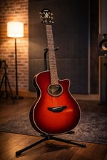 Guitare acoustique électrique