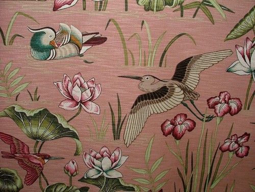 Japonais eau lily - japonais, et