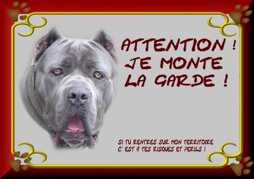 Plaque garde cane corso - de,