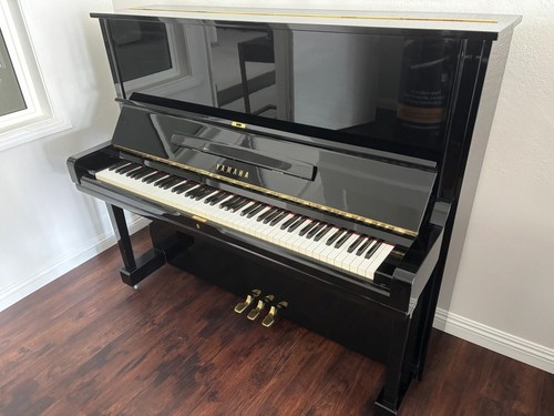 Yamaha restored - yamaha, u3