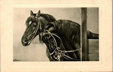 ANIMAL THEMES - HORSES - 2 horses in a box