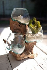 Triple Bowl Vase Terrarium Planter Melted Glass on Driftwood