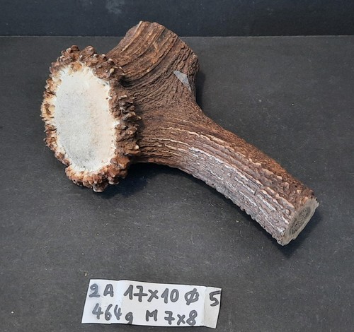 Bois cerf avec meule 7 - meule, de