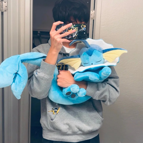 Pokemon plush new eevee evoli - plush,