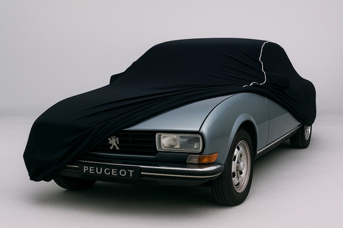 Housse voiture stretch - voiture,