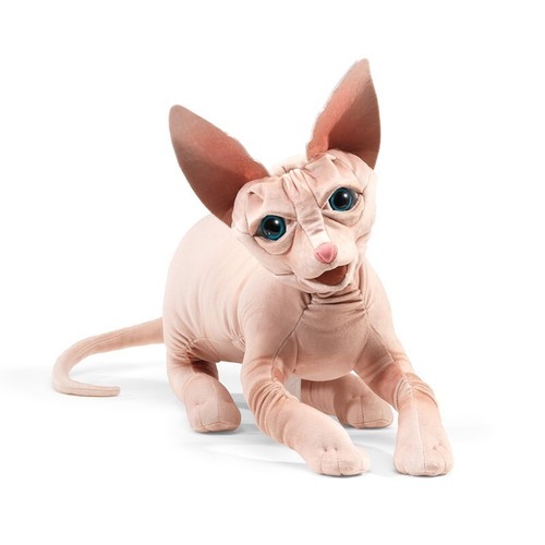 Sphynx cat folkmanis hand - cat,