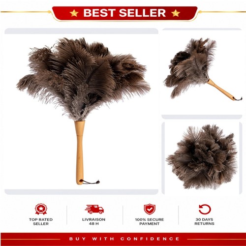 Plumeau plumes autruche - en,