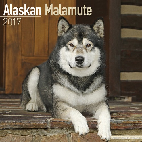 Calendrier 2017 alaskan - calendrier,