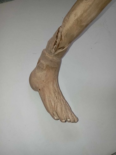 Canne bois pieds - bois,