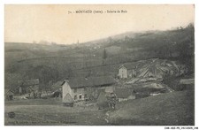 CAR-ADIP9-0629-38 - MONTAUD - scierie de bois