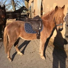 Selle en cuir Freemax sans