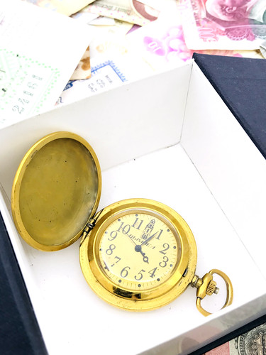 Rare raketa bison - raketa,