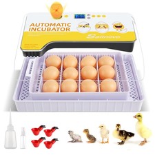 Incubateur Oeuf Automatique 12 Oeufs Couveuse Automatique Numérique Contrôle ...