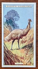 1924 John Player Natural History Cigarette Card - #19 Emeu / Emu Australia 