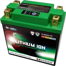 Batterie SKYRICH Lithium-Ion -