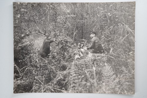 Photo argentique france chasse - photo,