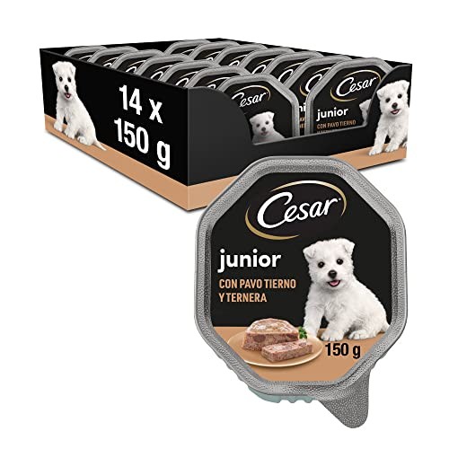 Cesar junior nourriture - cesar, pour
