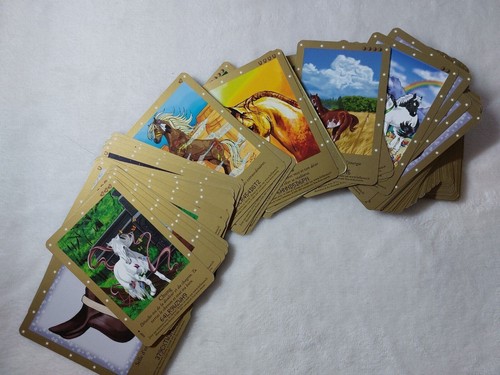 Cartes cheval chevaux bella - cartes, /