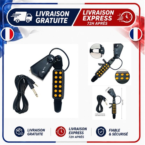 Micro magnétique guitare