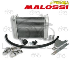 7115506 RADIATEUR MALOSSI MHR