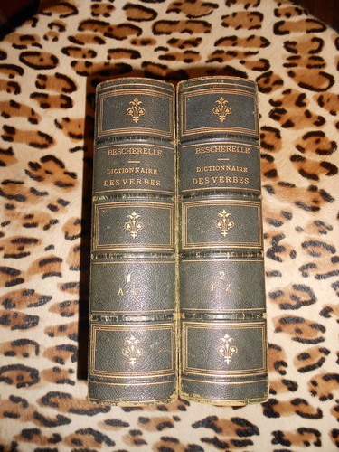 Bescherelle dictionnaire usuel - dictionnaire,