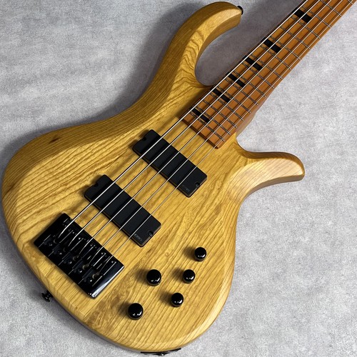 Schecter riot session - 5, (2023)