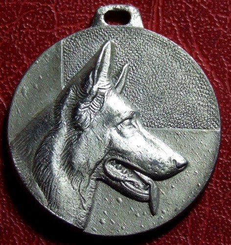 German shepherd berger - german,