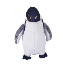 Peluche Pingouin, Cadeau de