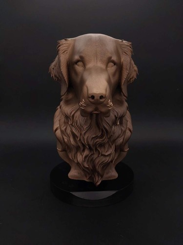 Buste golden retriever - golden,