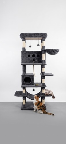 Grand arbre chat - à,