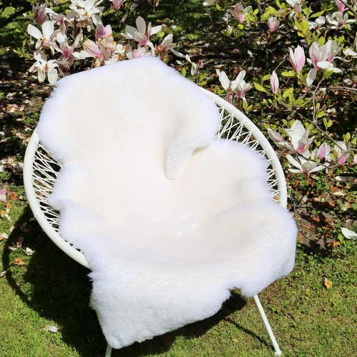 Peau mouton court tondu - de,