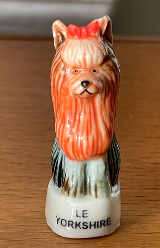 Fève chien yorkshire - chien, le