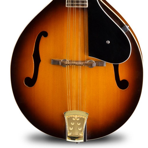 Cordier chevalet mandoline - cordier,