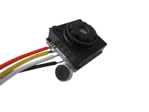 Insecte zig mini micro caméra - insecte,