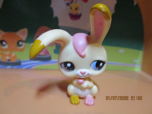 Petshop lapin garenne - ,