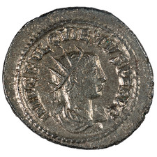 Rome Antique Quietus