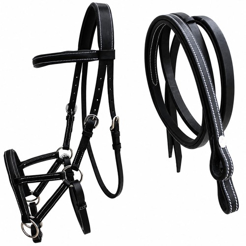 Horse western - horse,