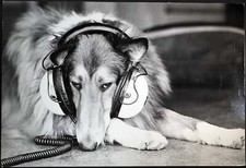 Photo de presse vintage