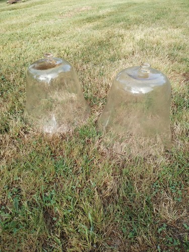 Cloches jardin maraichage - cloches,