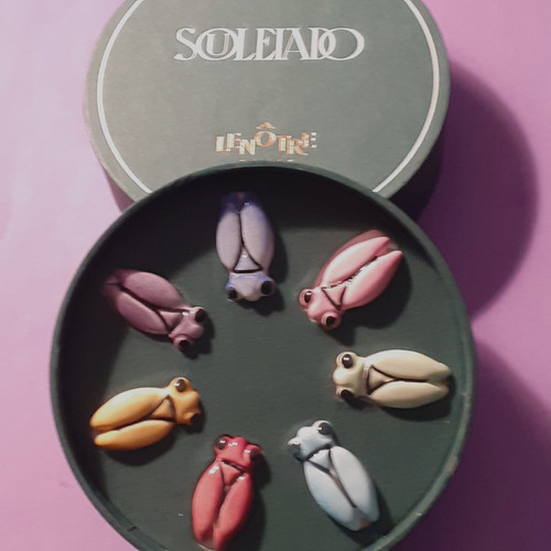 Coffret lenotre année 2001 - coffret,