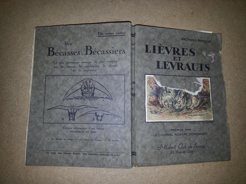 Lievres levraults anatomie - levraults,