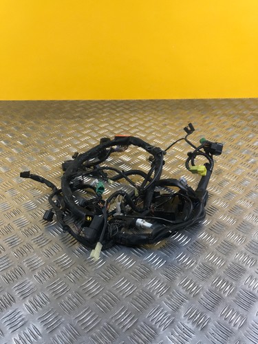 Faisceau électrique pour