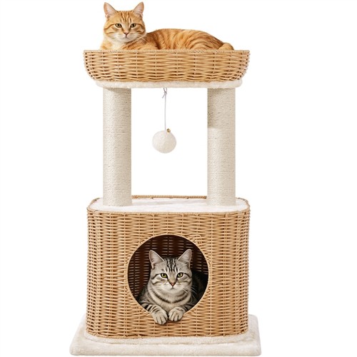 Arbre chat avec - arbre,