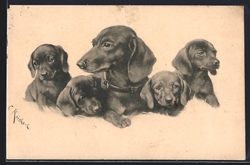 Carte postale artiste carl - postale,