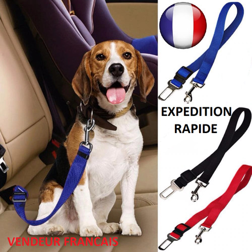 Ceinture sécurité - ceinture, de